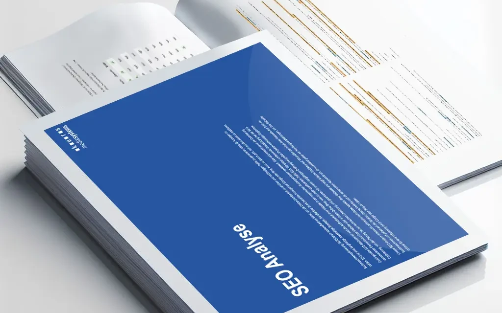 SEO Check: Webseiten Analyse