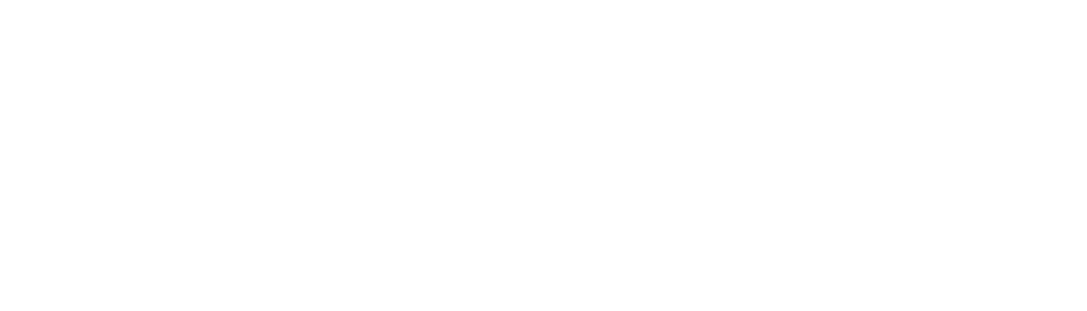 Shopify Logo