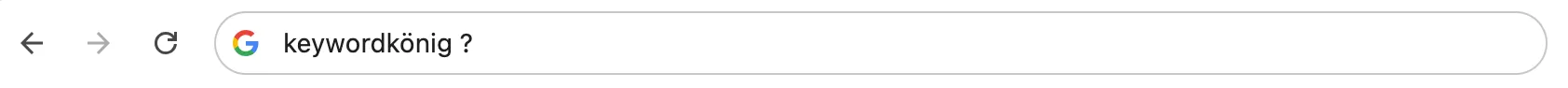 Keywordkönig oder Keywordkoenig in der URL